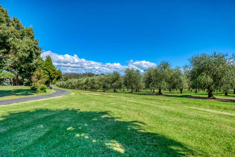 478 Hihi Road Mangonui_29