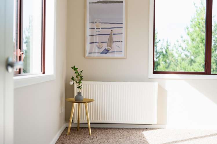 689 Big Stone Road Kuri Bush_22