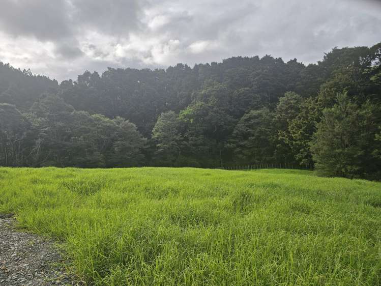 Lot Lot 1/675 Gorge Road Maungaturoto_32