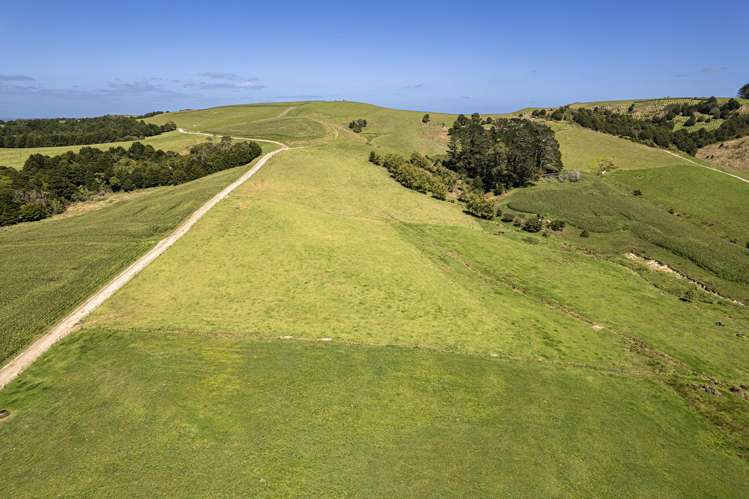 731 Puhipuhi Road Whakapara_34