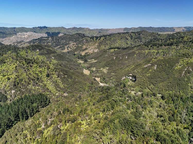 1529 Kauarapaoa Road Brunswick_6