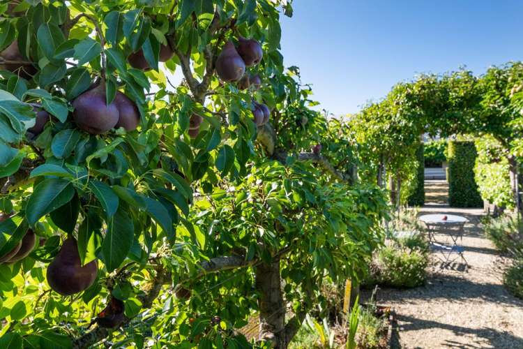 632 Waihopai Valley Road Renwick_25