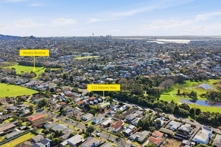 113 Abbotts Way Remuera_12