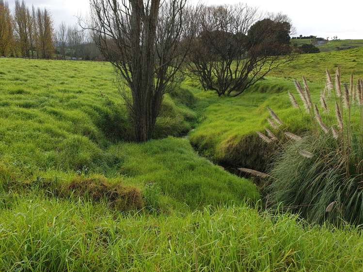 42 Jumna Road Maungaturoto_5