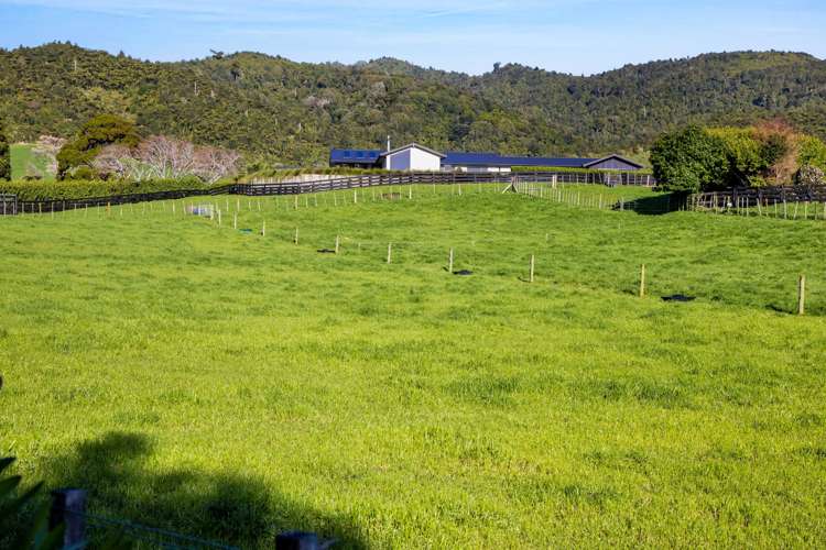 1351 South Road Kaitake_29