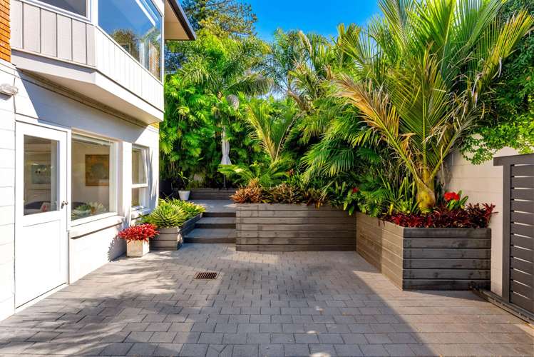 1A Park Avenue Takapuna_22