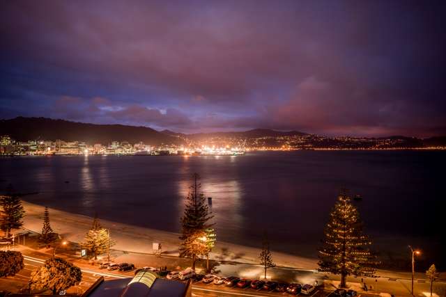 22 Hay Street Oriental Bay_2