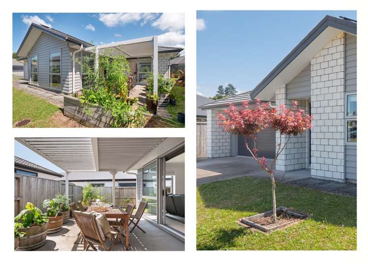 123 Whakaturou Crescent Pyes Pa_1