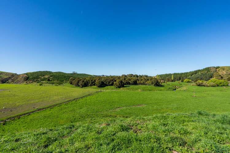 Porangahau Road Wallingford_4