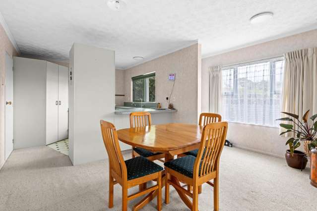 17A Sanders Avenue Marewa_3