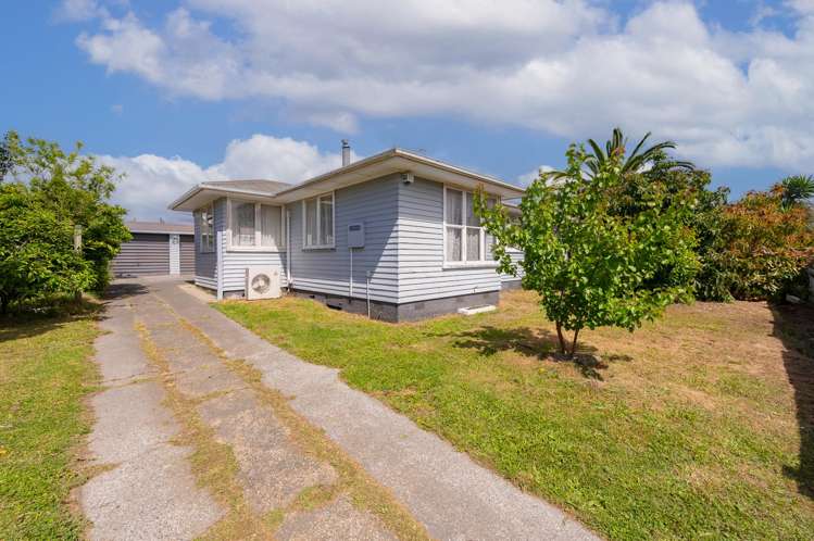 9 Skerrett Crescent Tamatea_7