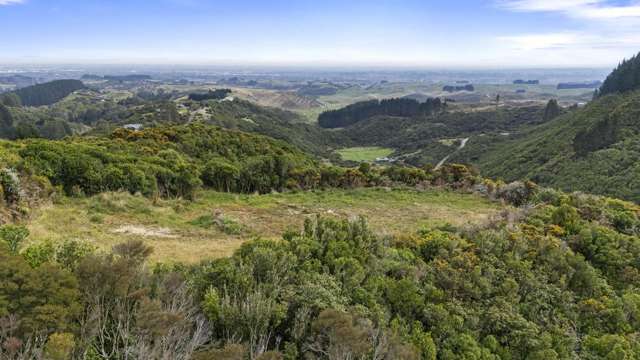 106 Harrison Hill Road Aokautere_4