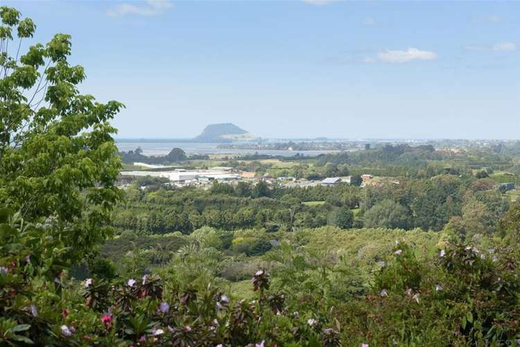 51 Corbett Drive Wairoa_19