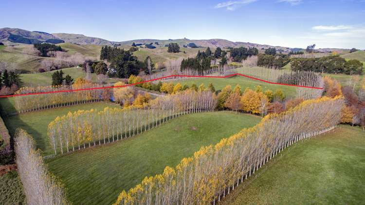 149 Parnassus Road Cheviot_20