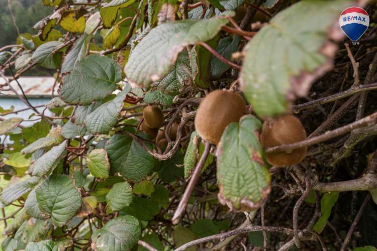 513 Maungakotukutuku Road Paraparaumu_11