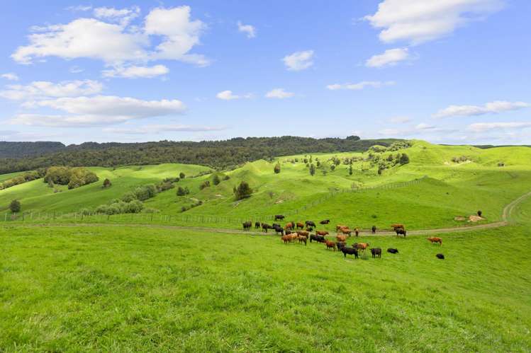 878 Mokauiti Road Aria_6