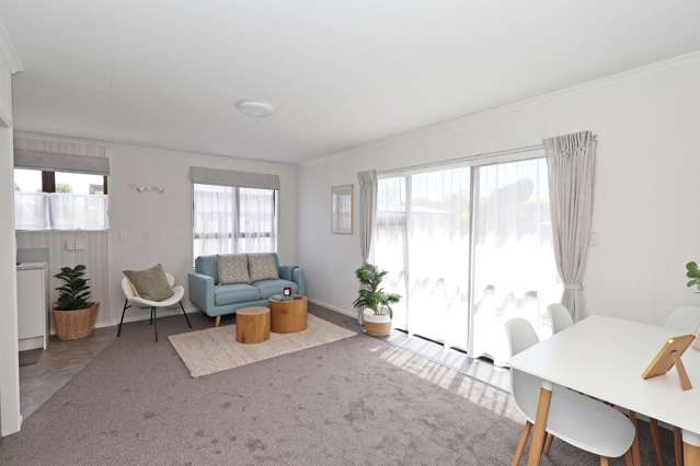 259 Nelson Street Strathern_3