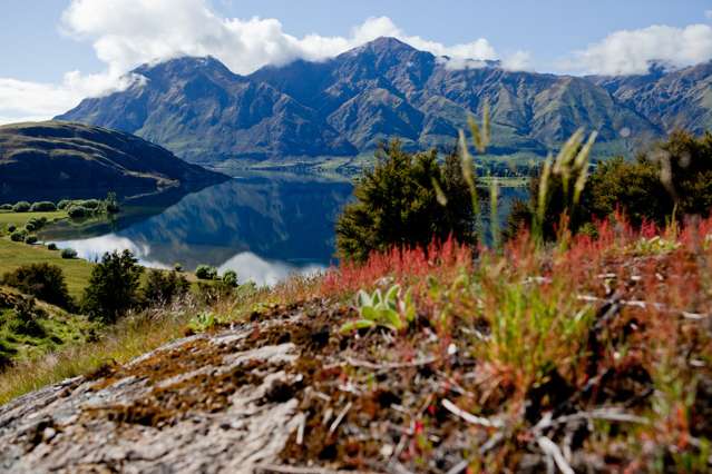 West Wanaka Road Treble Cone/Mount Aspiring_2