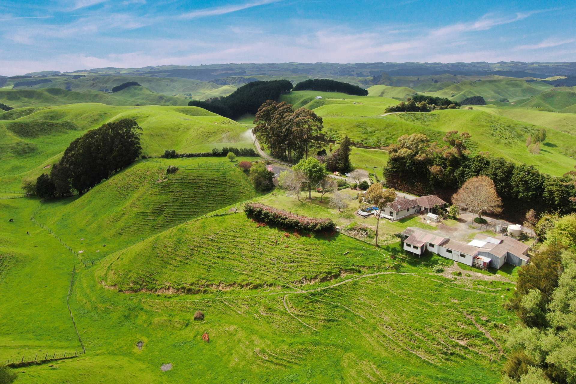166 Airstrip Road Pikowai_0