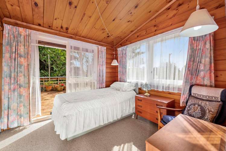 55 Utuhina Road Springfield_9