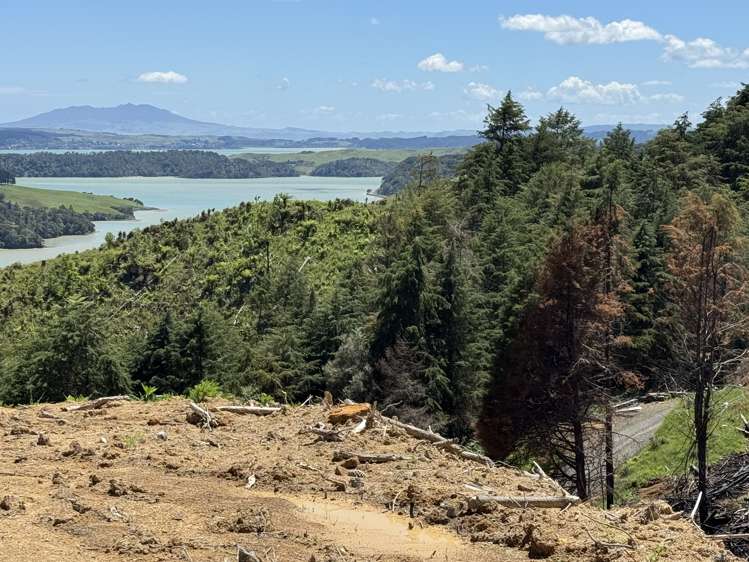 Lot 3 Brown Road Kawhia_14