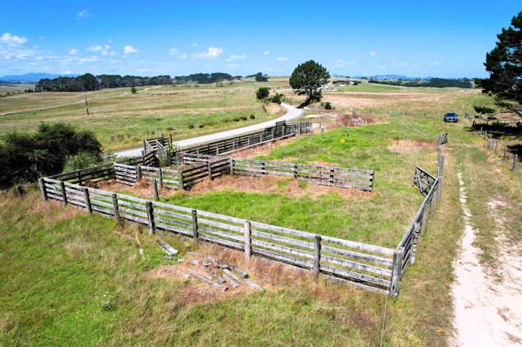 Mount Wesley Coast Road Dargaville_19
