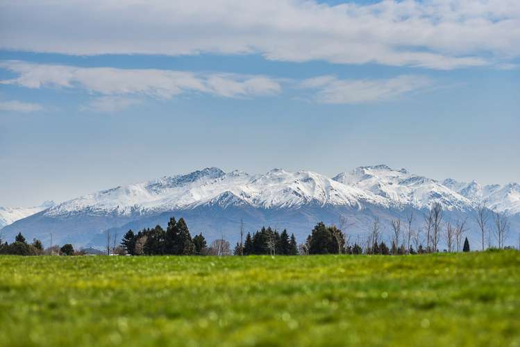 8a Mcdonald Street Alexandra_2