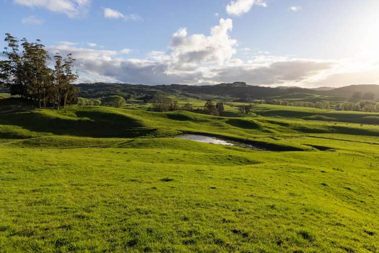 108 Range Road Kawakawa_8