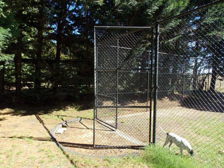 171 Bainesse Road Himatangi_30