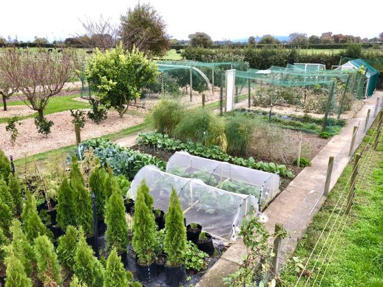 53 Nickle Road Cambridge_11