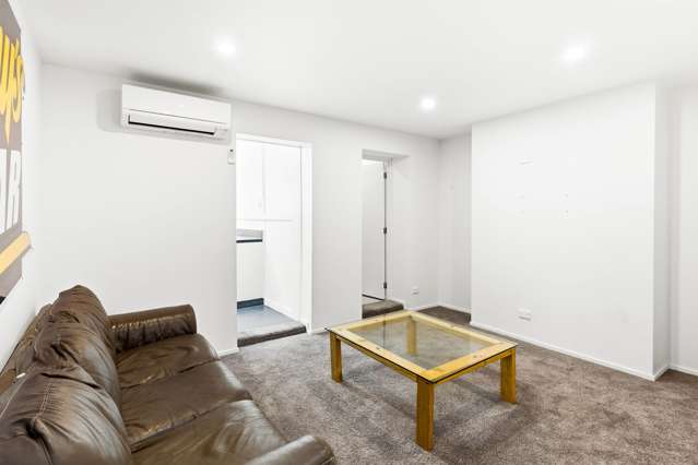 587 Castle Street North Dunedin_3