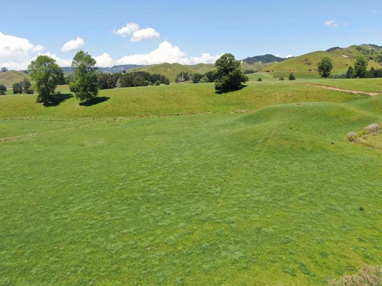 967 Ohura Road Aria_20