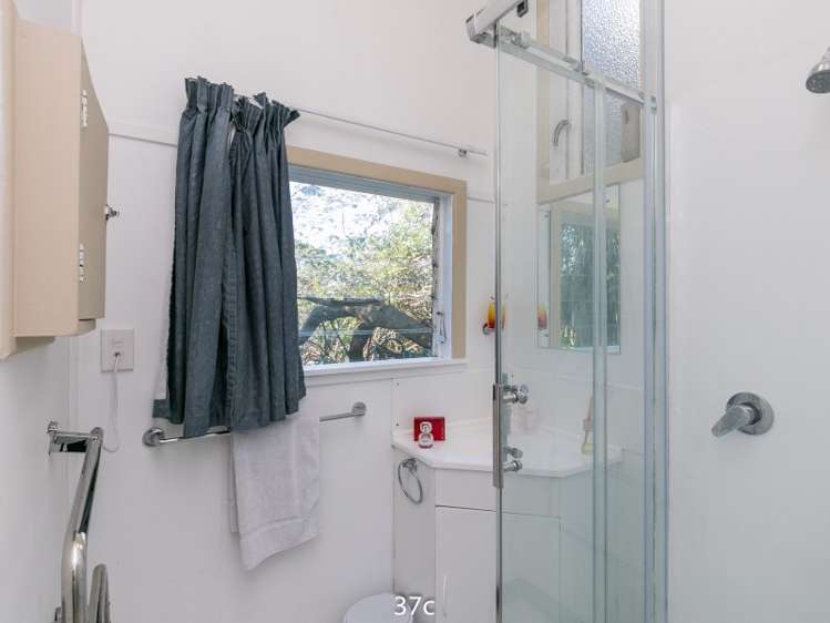 37 Devon Street Aro Valley_18