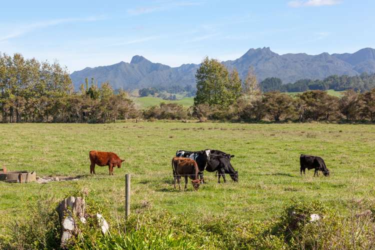 403 Hikuai Settlement Road Hikuai_8