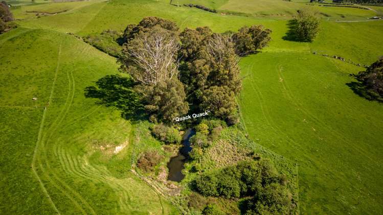 249 Hutchinson Road Richmond Downs_5