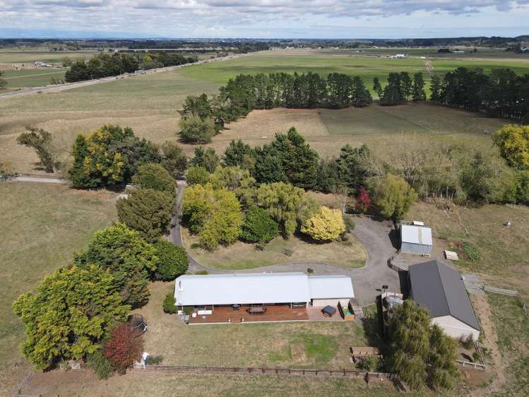 455b State Highway 1 Bulls_35