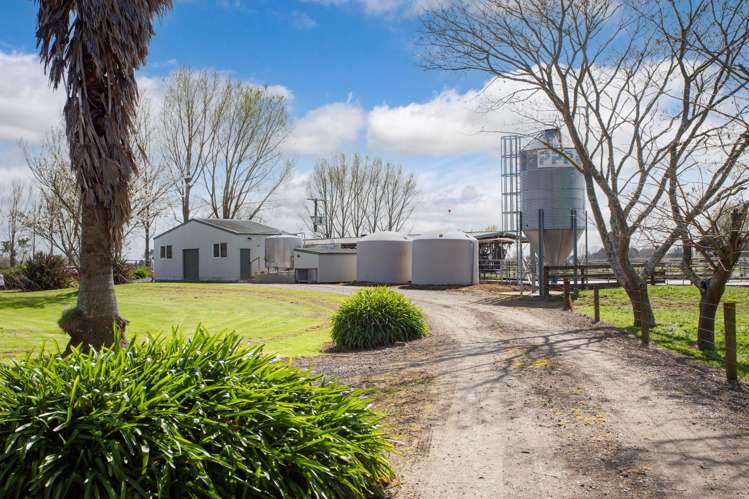 847 Tauwhare Road Tauwhare_19