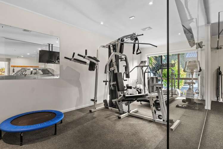 55 Postman Road Dairy Flat_12