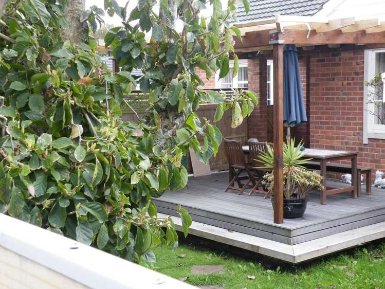 27 Peach Parade Remuera_2