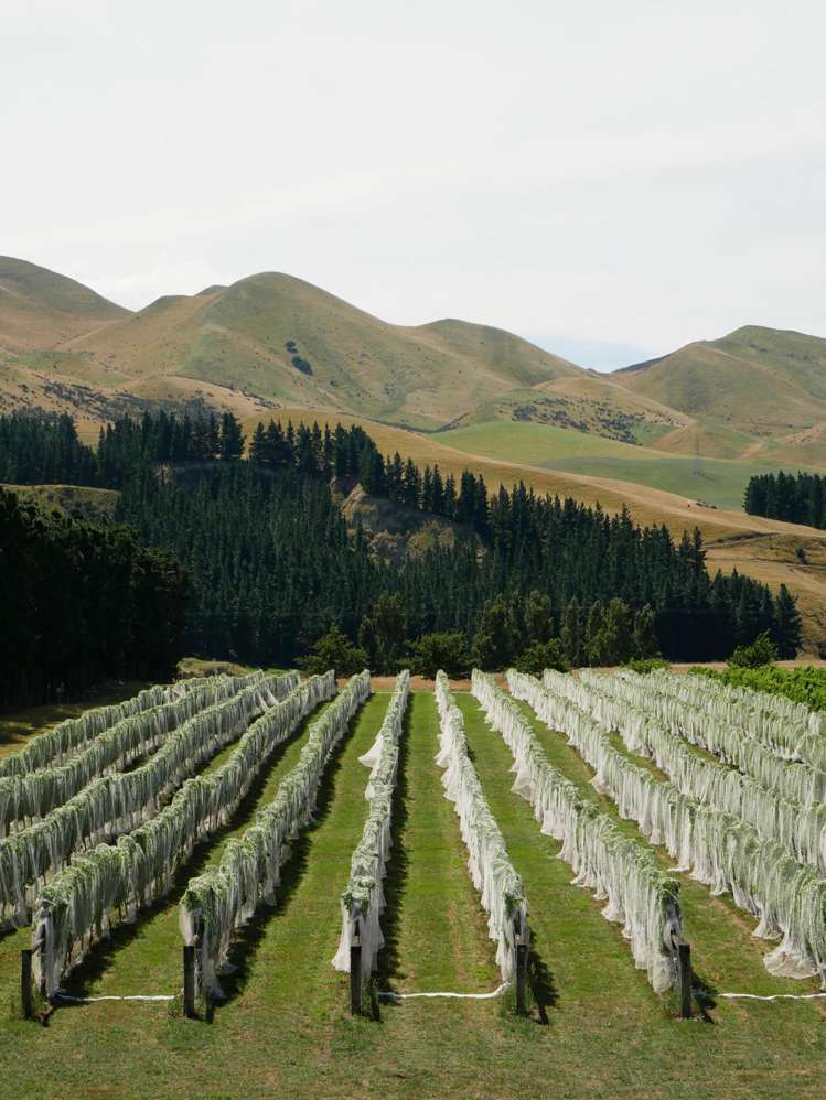 376 Ram Paddock Road Waipara_18