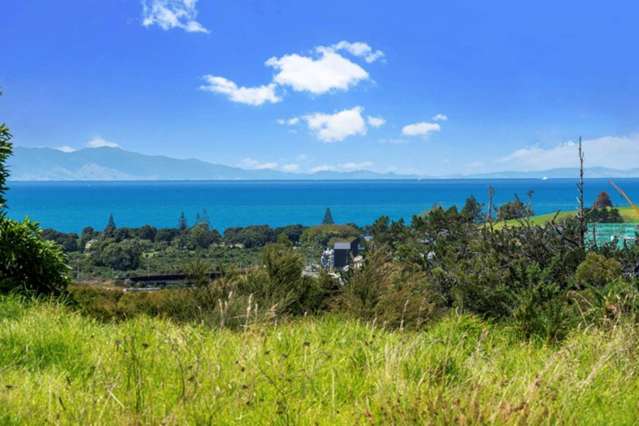 78A Vaughans Road Long Bay_4