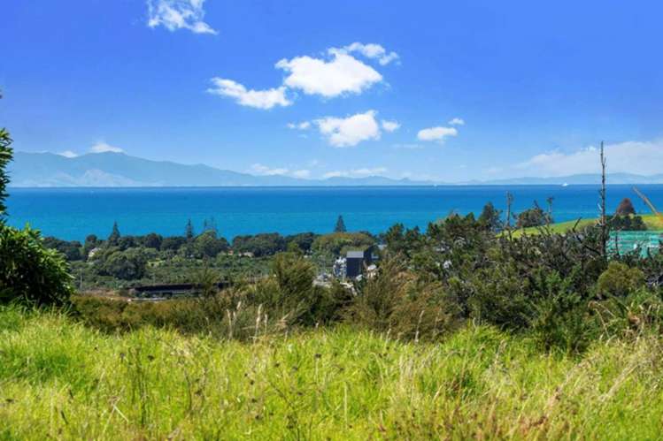 78A Vaughans Road Long Bay_7