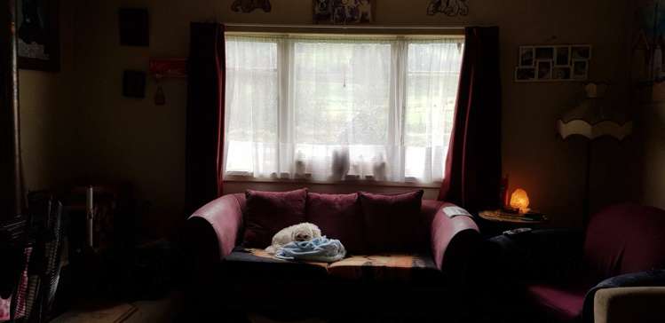 10 Ellis Road Benneydale_3