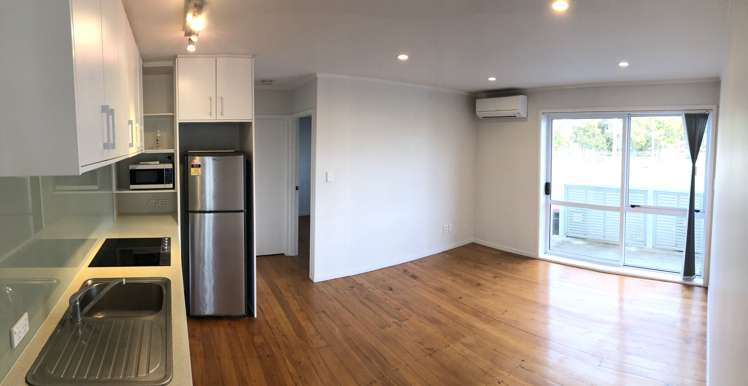 198 Manukau Road Epsom_0