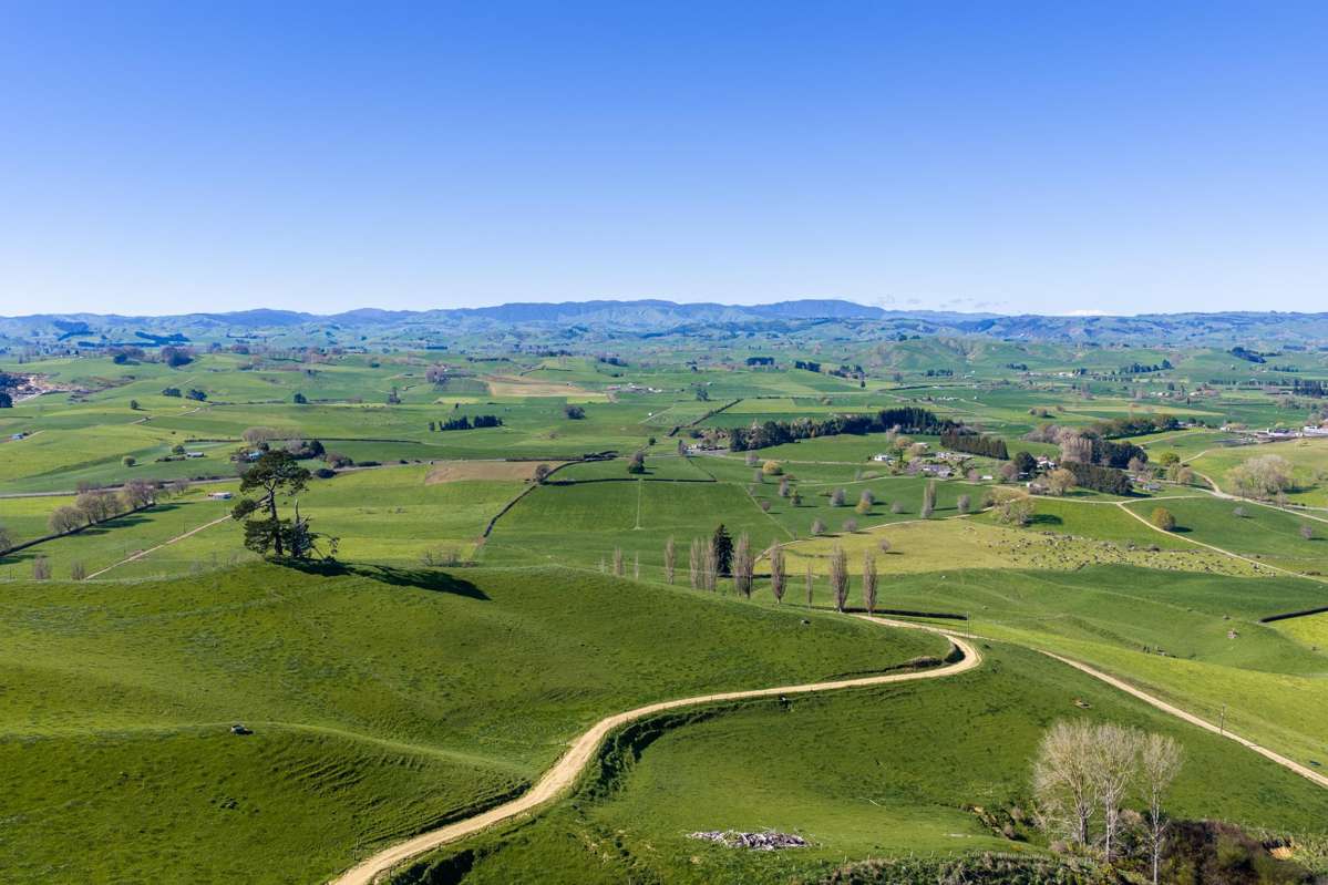 1356 Otorohanga Road, State Highway 3_0