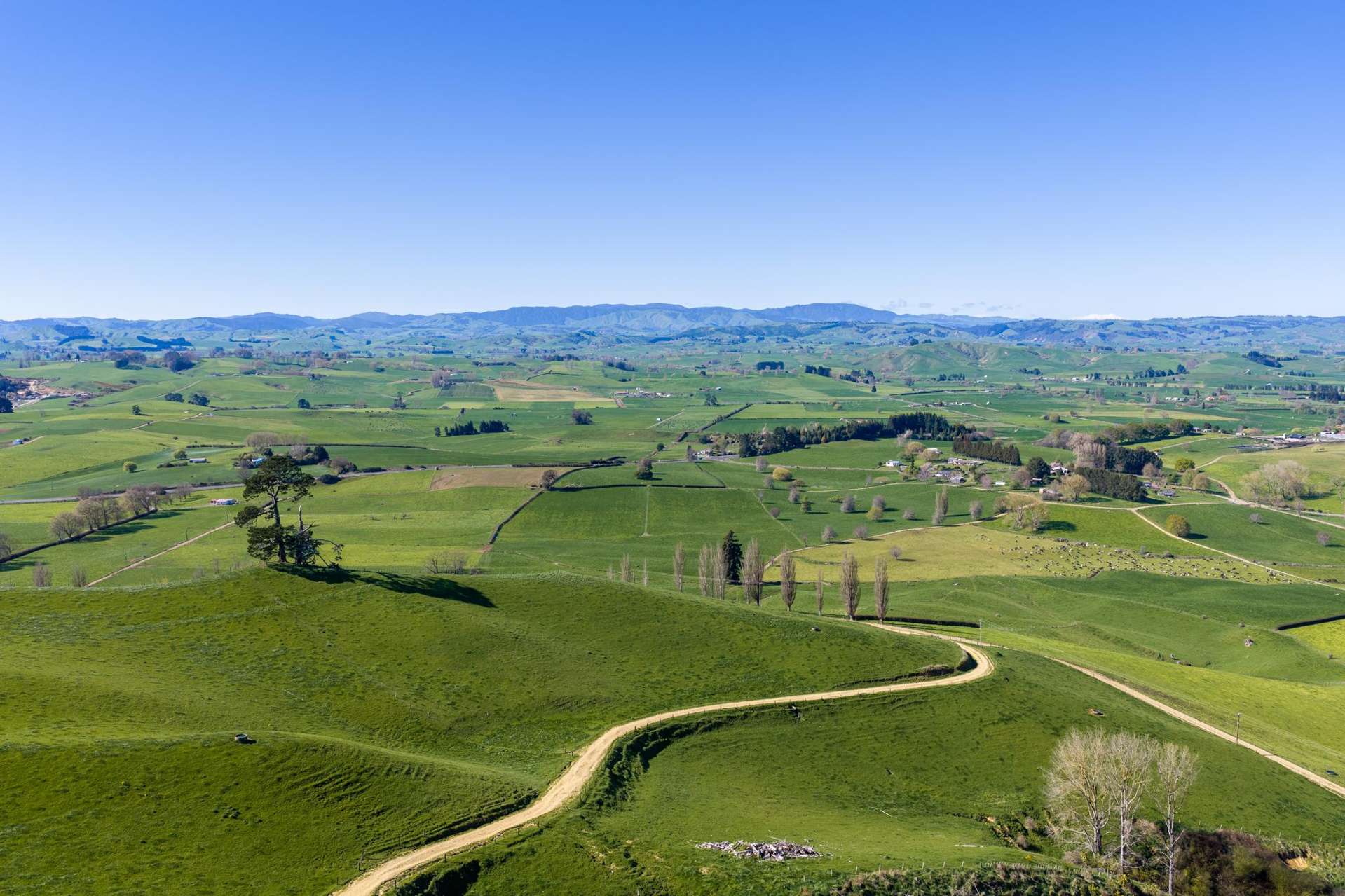 1356 Otorohanga Road, State Highway 3 Otorohanga_0