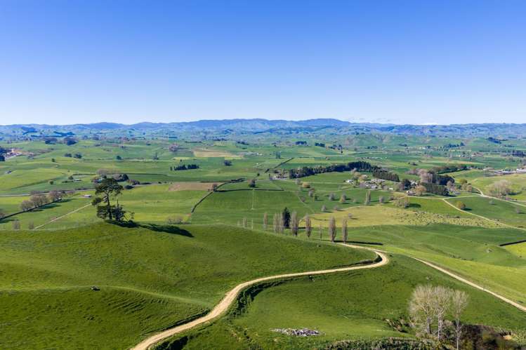 1356 Otorohanga Road, State Highway 3 Otorohanga_0