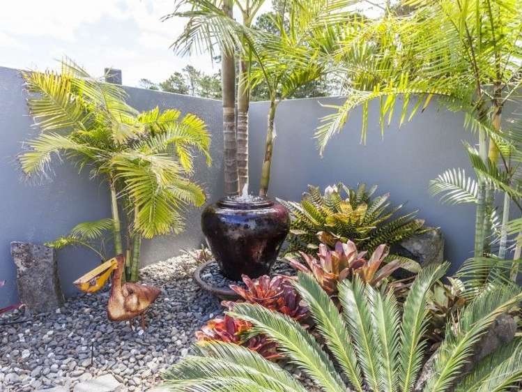 65 El Dorado Ledr Pauanui_17