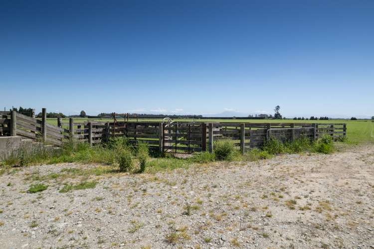 Framptons Road Hinds_7