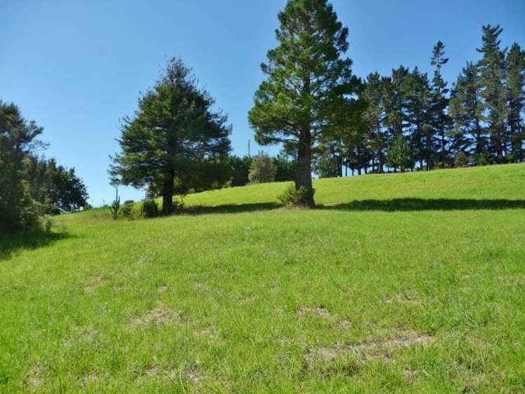 260 State Highway 10 Cable Bay_64